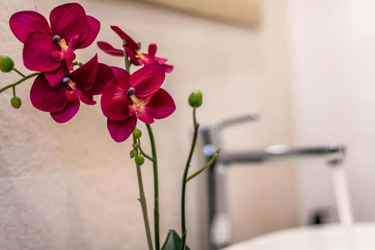 4 Star Suite Spa - Self Check-In Bologna 0*,  Italy
